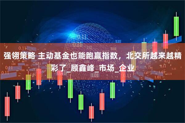 强翎策略 主动基金也能跑赢指数，北交所越来越精彩了_顾鑫峰_市场_企业
