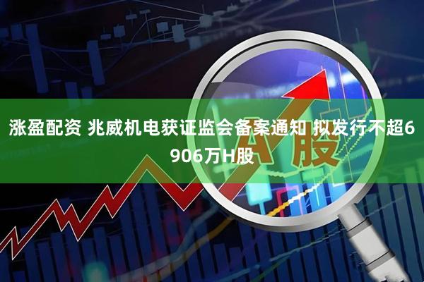 涨盈配资 兆威机电获证监会备案通知 拟发行不超6906万H股